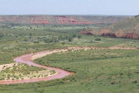 Timberland Property in Oldham County, Texas