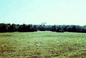 Farm and Ranch in Fannin County, Texas