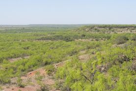 Farm and Ranch in Coleman County, Texas