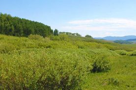 Recreational Property in Jackson County, Colorado