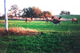Recreational Property in Cherry County, Nebraska