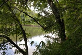 Recreational Property in Early County, Georgia