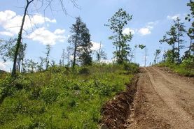 Farm and Ranch in Shannon County, Missouri