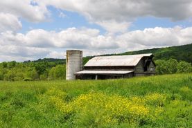 Timberland Property in Greenbrier County, West Virginia