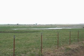 Timberland Property in Muskogee County, Oklahoma