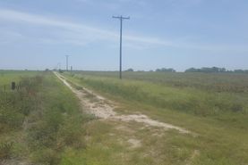 Timberland Property in Hidalgo County, Texas
