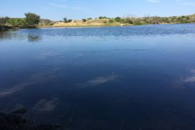 Farm and Ranch in Coke County, Texas