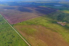 Recreational Property in Clay County, Texas