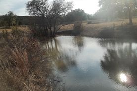 Land in Bosque County, Texas