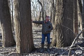 Farm and Ranch in Tipton County, Tennessee