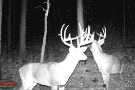 Timberland Property in Latimer County, Oklahoma