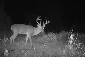 Recreational Property in Madison County, Texas