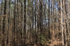 Recreational Property in Coosa County, Alabama