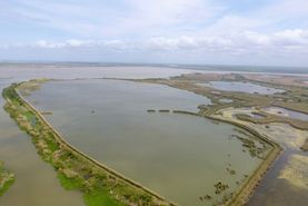 Recreational Property in Calhoun County, Texas