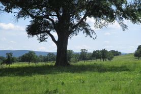 Farm and Ranch in Le Flore County, Oklahoma