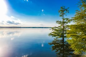 Farm and Ranch in Angelina County, Texas