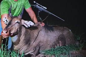 Timberland Property in Hidalgo County, Texas