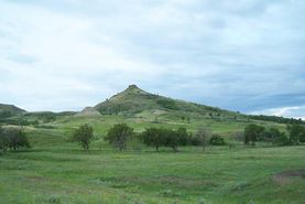 Timberland Property in Richland County, Montana