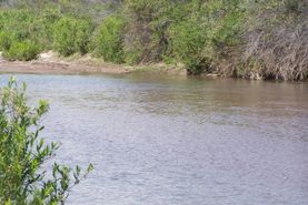 Timberland Property in Greenlee County, Arizona