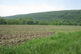 Farm and Ranch in Cayuga County, New York