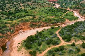 Timberland Property in Briscoe County, Texas