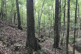 Recreational Property in Chickasaw County, Mississippi