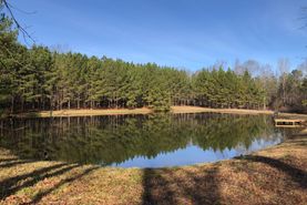 Farm and Ranch in Bullock County, Alabama