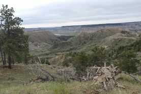 Farm and Ranch in Phillips County, Montana