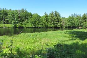Farm and Ranch in Lewis County, New York