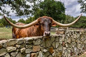 Recreational Property in Travis County, Texas