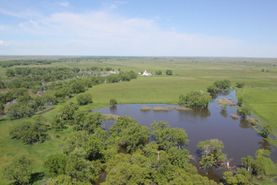 Timberland Property in Phillips County, Montana