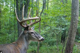 Recreational Property in Franklin County, Indiana