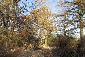 Land in Bandera County, Texas