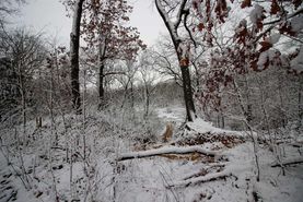 Recreational Property in Pulaski County, Indiana
