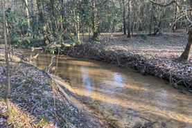 Timberland Property in Pike County, Alabama