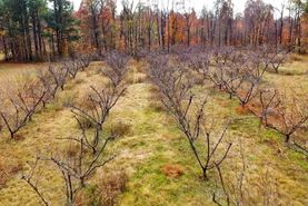 Undeveloped Land in Obion County, Tennessee