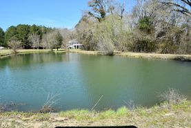 Farm and Ranch in Macon County, Georgia