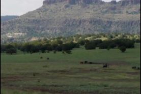 Farm and Ranch in Grant County, New Mexico