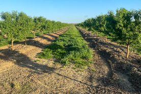 Farm and Ranch in Sutter County, California