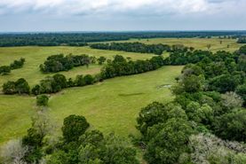 Farm and Ranch in Grimes County, Texas