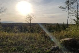 Farm and Ranch in Aroostook County, Maine