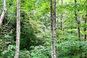 Farm and Ranch in Mercer County, West Virginia