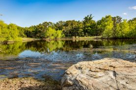 Farm and Ranch in Parker County, Texas