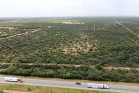 Timberland Property in Webb County, Texas
