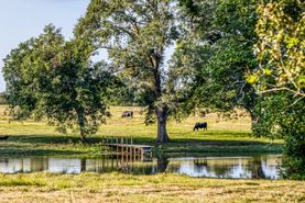 Farm and Ranch in Washington County, Texas