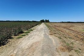 Farm and Ranch in Greensville County, Virginia