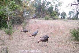 Farm and Ranch in Concho County, Texas