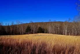 Recreational Property in Warren County, Tennessee