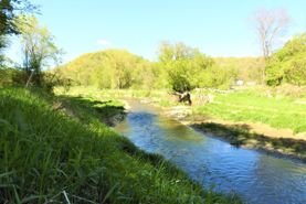 Timberland Property in Clayton County, Iowa