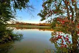 Farm and Ranch in Robertson County, Texas
